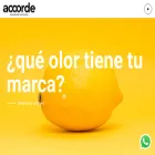 accorde.com.co