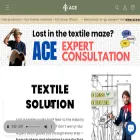 acegroupofficial.com