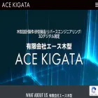 ace-kigata.com