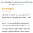 acercademexico.com