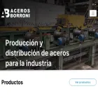acerosborroni.com