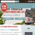 acmeplumbing.com