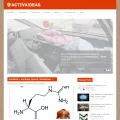 activaideas.com