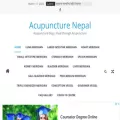acupuncturenepal.com