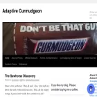 adaptivecurmudgeon.com