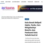 adatnusantara.web.id