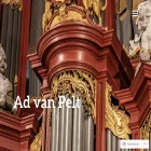 advanpelt.nl