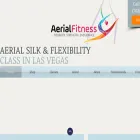 aerial-fitness.net