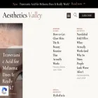 aestheticsvalley.com