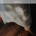aether-living.com