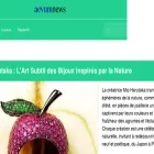 aevumnews.com