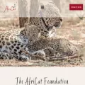 africat.org