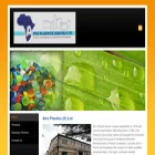 afroplastics.weebly.com