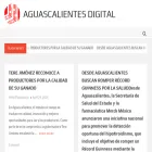 aguascalientesdigital.com.mx