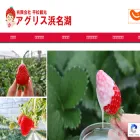 agurisu-hamanako.com