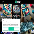 ainows.com