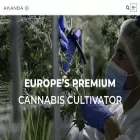 akandacorp.com