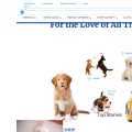 akc.org