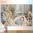 akebonostudio.com