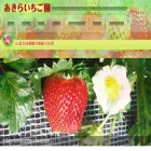 akiraichigo.com