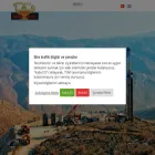 aladdinmiddleeast.com