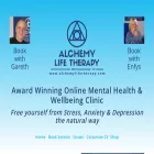 alchemylifetherapy.com