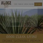 aldeztequila.com