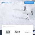 alikeaudience.com