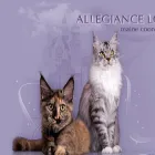 allegiancelove.ru