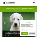 allesoverlabradors.nl