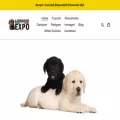 allevamento-labrador-expo.com
