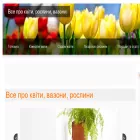 allflower.in.ua