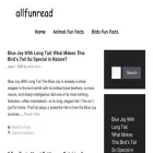 allfunread.com