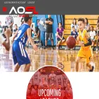 alloutsportsleague.com