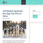allpetcaretaker.com