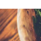 allrecipesbeginner.com