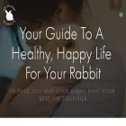 allthingsrabbits.com