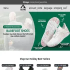 alpine-footwear.com