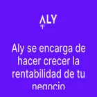 aly-ai.com