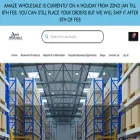amazewholesale.com