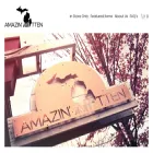 amazinmitten.com