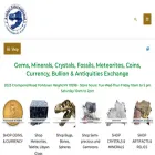 amberinternational.net
