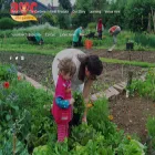 amcgardens.co.uk