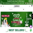 ameena.pk