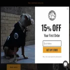 americanbully.com