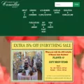 americancamellias.com