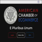 americanchamber.net