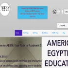 americanegyptianedugroup.com