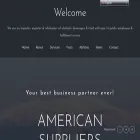 americansuppliersgroup.com