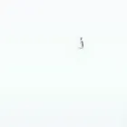 aminoclub.com